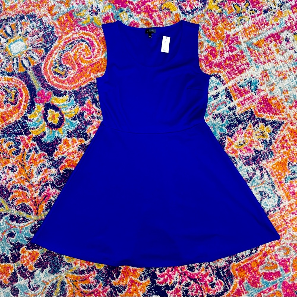 Royal Blue Skater Dress